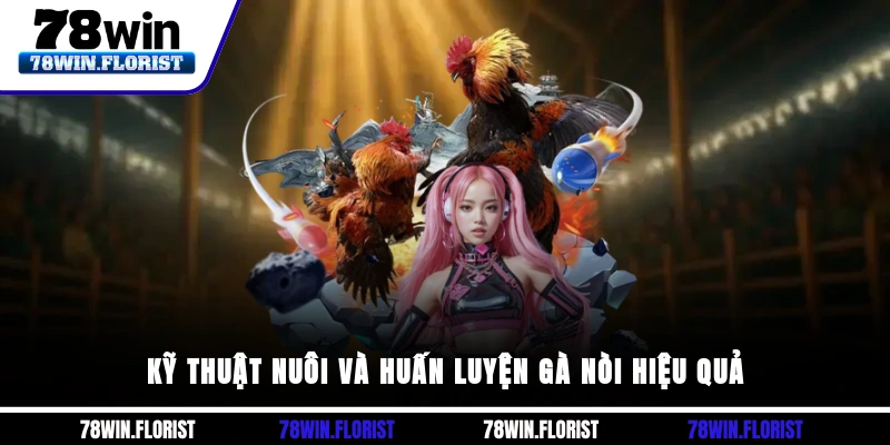 Kỹ thuật nuôi và huấn luyện gà nòi hiệu quả
